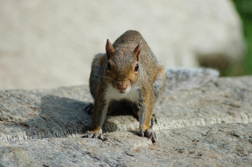 et si votre attente pour vendre devenait une opportunité ?